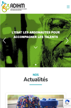 Visuel du projet de Association ADIHM - Esat Les Argonautes