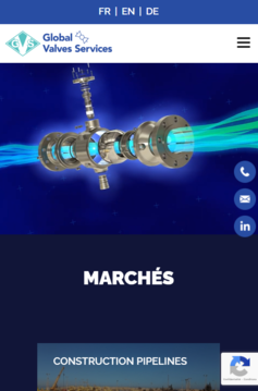 Visuel du projet de Global Valves Services