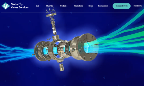 Visuel du projet de Global Valves Services